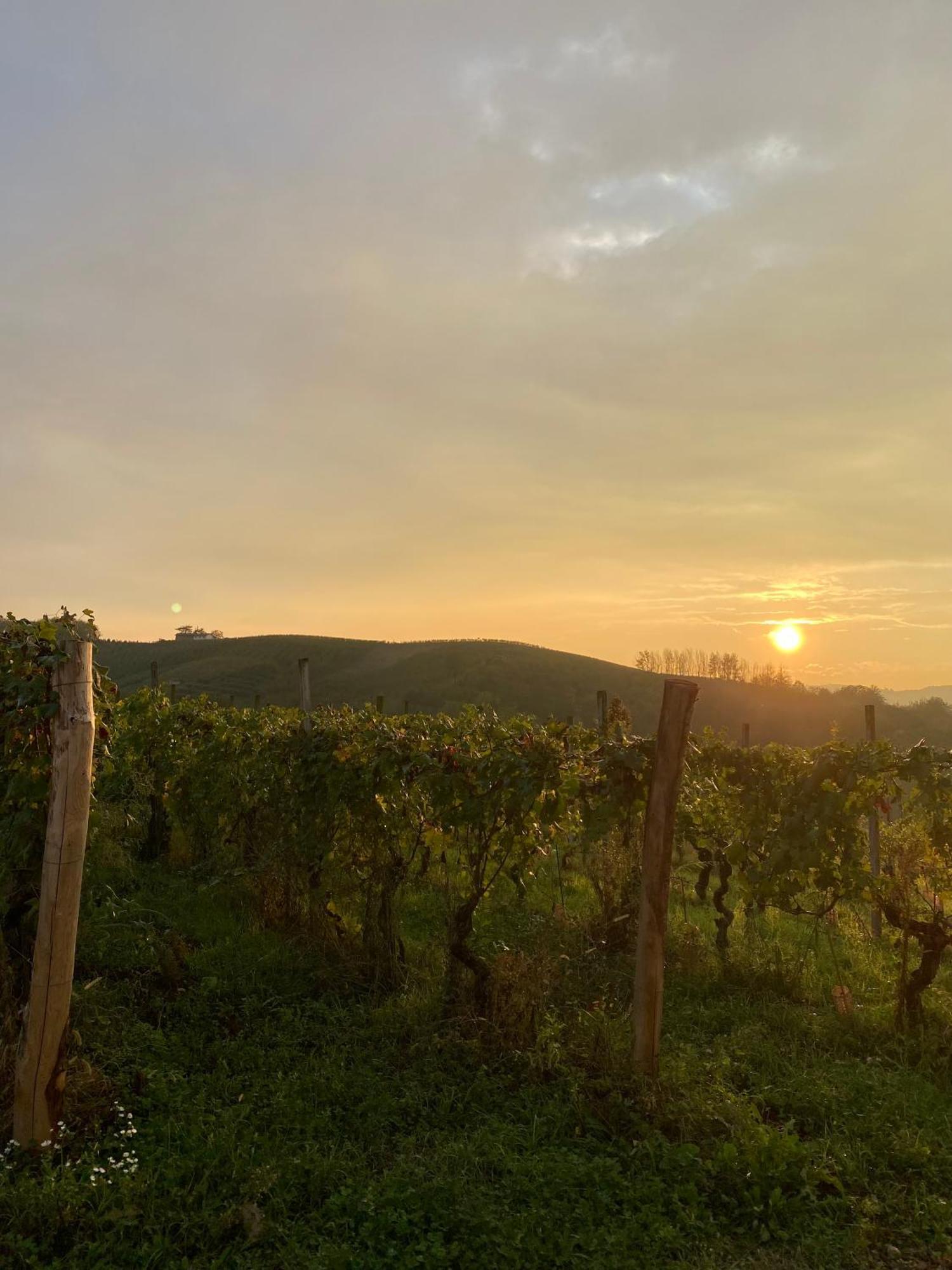 San Damiano dʼAsti Tenuta Agricola La Cava- Cantina E Agriturismo מראה חיצוני תמונה