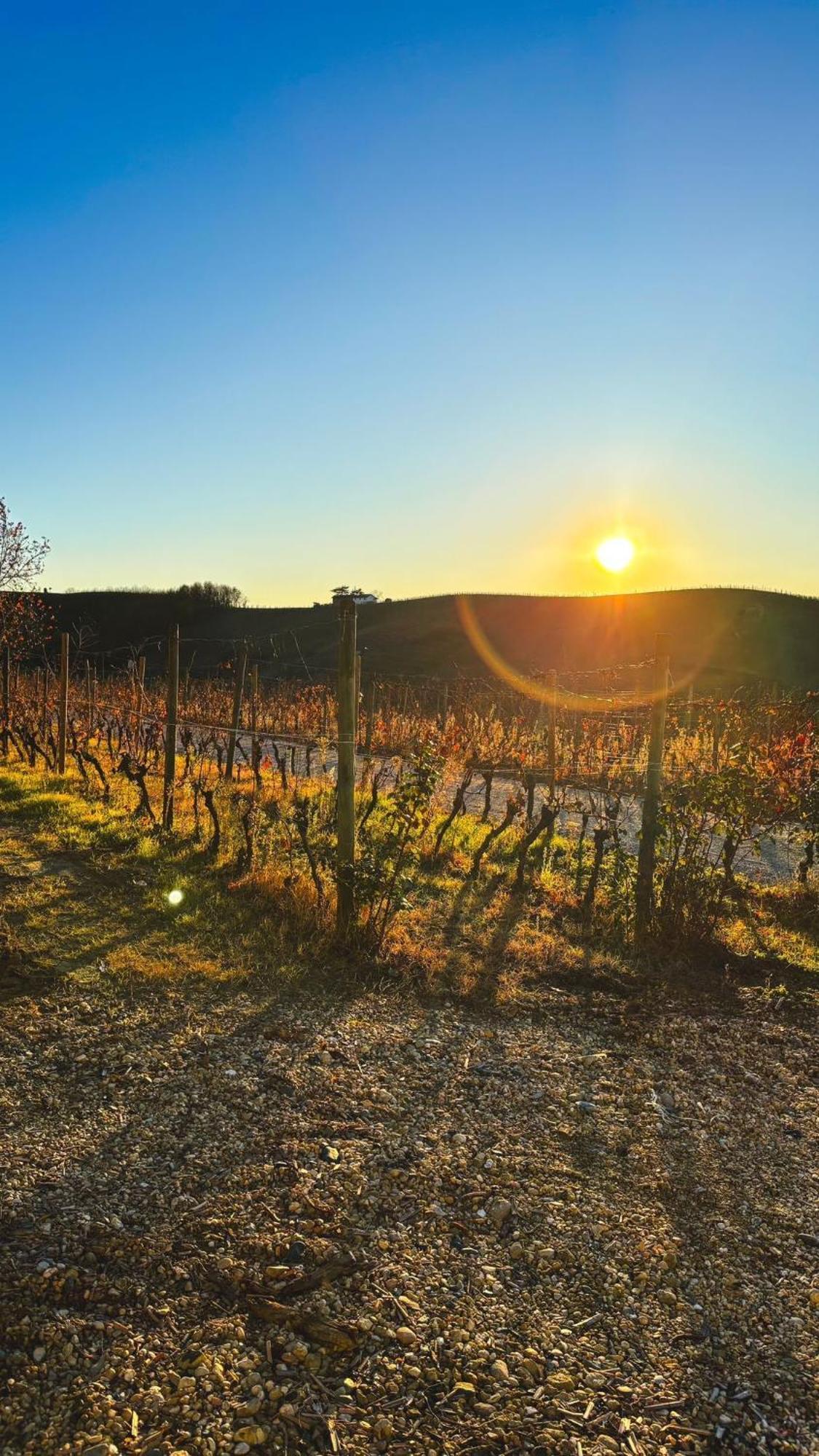 San Damiano dʼAsti Tenuta Agricola La Cava- Cantina E Agriturismo מראה חיצוני תמונה