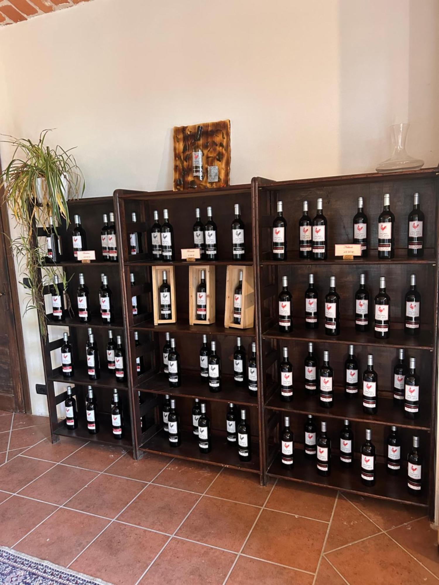San Damiano dʼAsti Tenuta Agricola La Cava- Cantina E Agriturismo מראה חיצוני תמונה
