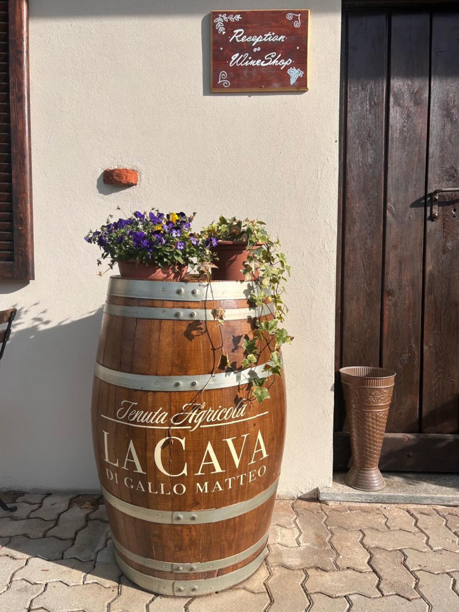 San Damiano dʼAsti Tenuta Agricola La Cava- Cantina E Agriturismo מראה חיצוני תמונה