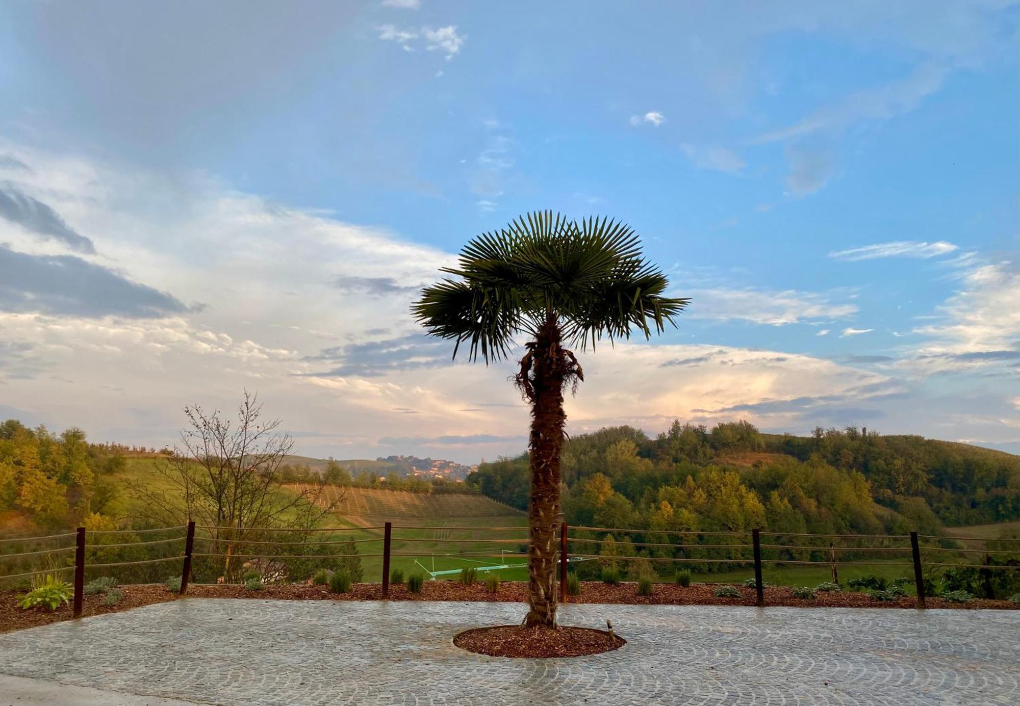 San Damiano dʼAsti Tenuta Agricola La Cava- Cantina E Agriturismo מראה חיצוני תמונה